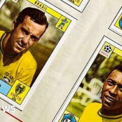 131915007_paninibrazil.jpg