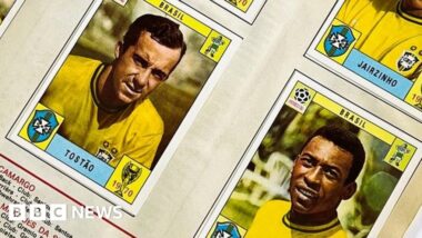 131915007_paninibrazil.jpg