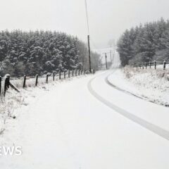 132132943_cuminestown_aberdeenshire_bbcweatherwatcher_panda-pops.jpg