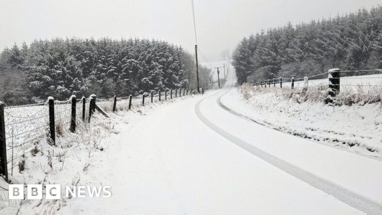 132132943_cuminestown_aberdeenshire_bbcweatherwatcher_panda-pops.jpg