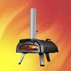 Our 8 Favorite Pizza Ovens: Wood, Gas, Electric, and Grill (2025)