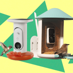 Best Bird Feeders With Cameras, Tested and Reviewed (2025)