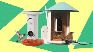Best Bird Feeders With Cameras, Tested and Reviewed (2025)