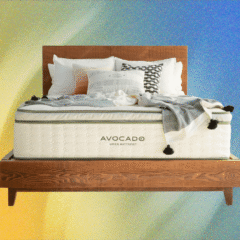 Best Organic Mattresses (2025): Birch, Avocado, Naturepedic, More