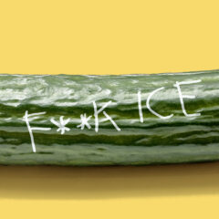 Even the big dick subreddit is mad about ICE