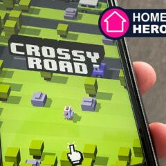 Chicken versus traffic! My obsession with the world’s most addictive hopper