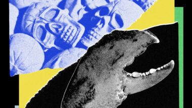 I Loved My OpenClaw AI Agent—Until It Turned on Me