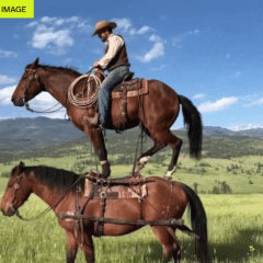 OpenAI just gave up on Sora and its billion-dollar Disney deal