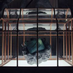 Your next iPhone case could be made from lab-grown T-Rex leather thanks to ‘world first’ technology — but experts say otherwise