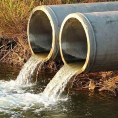Watt a load of crap: UK start-up is turning number twos into number one with shockingly superior sewage battery tech