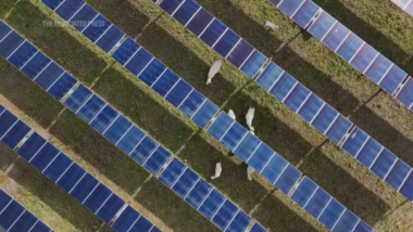 Fires linked to solar panels force Suffolk council to switch them off in 80 schools indefinitely