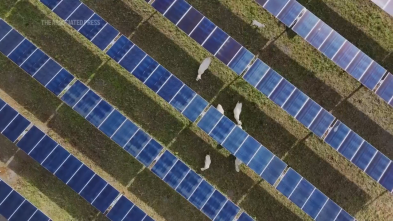 Fires linked to solar panels force Suffolk council to switch them off in 80 schools indefinitely