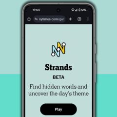 NYT Strands hints and answers for Monday, August 3 (game #883)