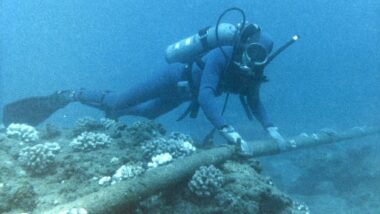 NATO prevented Russia from cutting a critical undersea cable using a tool that leaves no 'traceable fingerprints' on fibre-optic wires — 1,400km long lines are part of NASA's Near Space Network