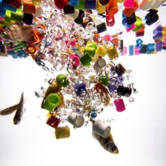 Microplastics React With Water, a New Study Says. That’s a Problem for Biology