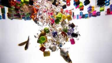 Microplastics React With Water, a New Study Says. That’s a Problem for Biology
