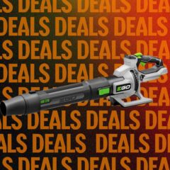The Best Leaf Blower We’ve Tested Is Ready for Halloween