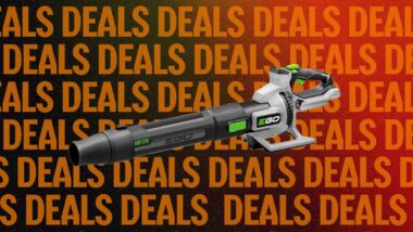 The Best Leaf Blower We’ve Tested Is Ready for Halloween